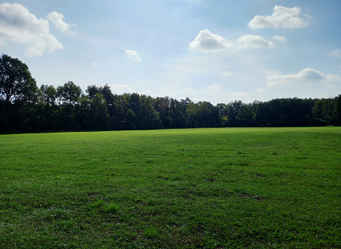 Green field surrounded by trees.