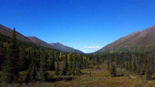 istock Chugach Mountains in Alaska Autumn 1710294979