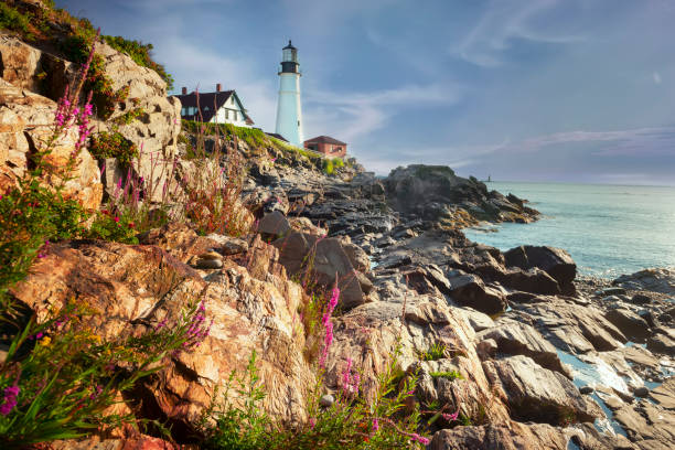 vieux phare sur une falaise et fleuries. états-unis. maine. portland. - travel maine coast region lighthouse lighting equipment photos et images de collection