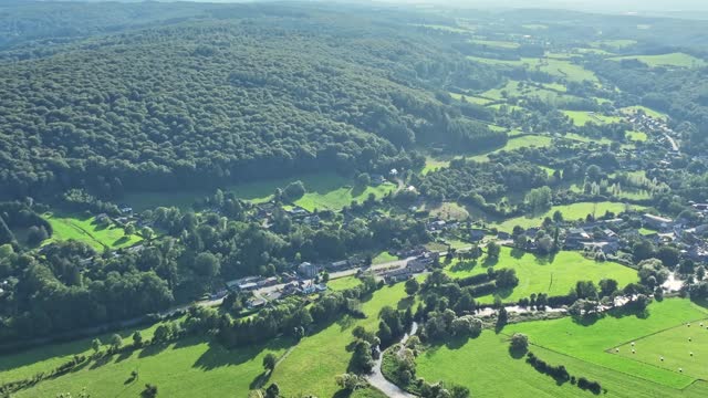 aerial view of green forest in belgium