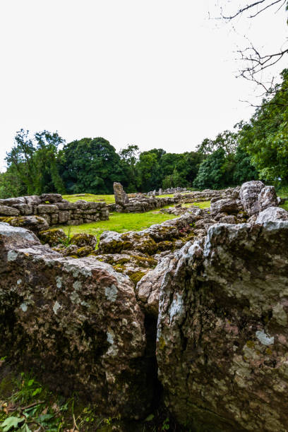 istock Stones at Din Lligwy ancient village in Anglesey. 1710350076