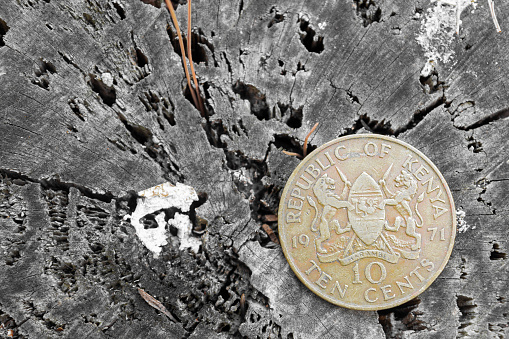 Kenya ten cent coin on natural wooden log background. Kenyan schilling