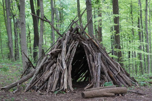 istock WOODEN HUT IN NATURE 1710360912