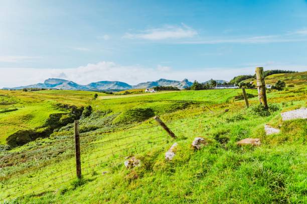Summer Landscape in Scotland, UK
