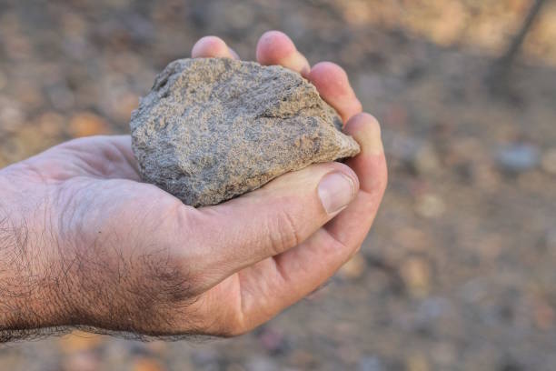 uma mão de homem segura um pequeno pedaço cinza de pedra - throwing stone human hand rock - fotografias e filmes do acervo