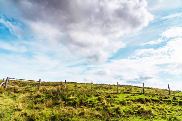 Summer Landscape in Scotland, UK