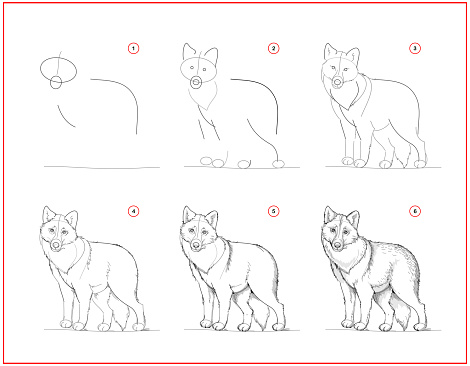 Page shows how to learn to draw sketch of cute grey wolf. Creation step by step pencil drawing. Educational page for artists. Textbook for developing artistic skills. Online education.