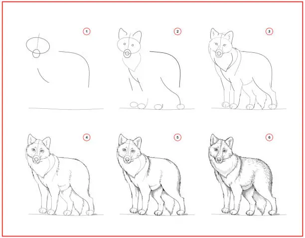 Vector illustration of Page shows how to learn to draw sketch of cute grey wolf. Creation step by step pencil drawing. Educational page for artists. Textbook for developing artistic skills. Online education.