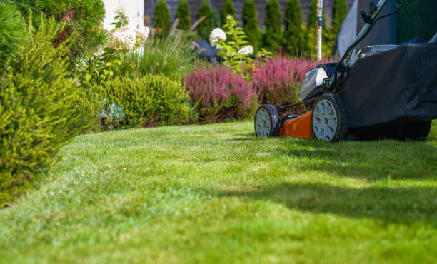 istock Lawn Mower and the Beautiful Matured Garden 1710415584