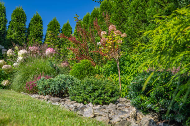 istock Scenic Residential Backyard Garden 1710416646