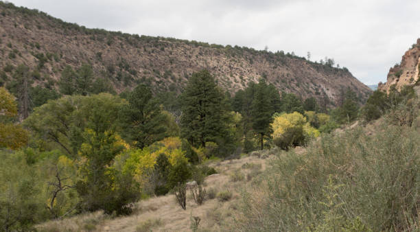 istock Frijoles canyon in Bandelier Park 1710417254