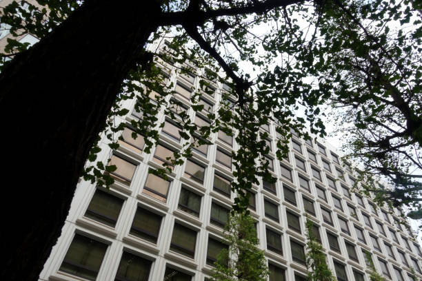istock Street trees and buildings 1710441977