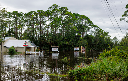 Steinhatchee, North Florida,  USA - August 30, 2023: flooded residential street and road in small community Steinhatchee, North Florida. Houses and trees underwater. Hurricane landfall and flood aftermath
