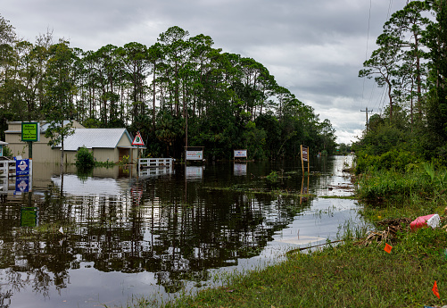 Steinhatchee, North Florida,  USA - August 30, 2023: flooded residential street and road in small community Steinhatchee, North Florida. Houses and trees underwater. Hurricane landfall and flood aftermath