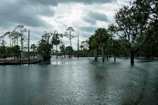 Hurricane aftermath flood in North Florida. Flooded streets in Steinhatchee, FL after hurricane landfall