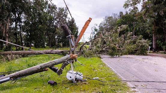 Fallen power lines poles and fuse box on grass after hurricane. Fallen tree create road blockage in Steinhatchee, North Florida