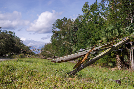 North Florida roadside wreckage. Power lines tilted by hurricane winds. Broken poles with wooden chips in the field. Close-up