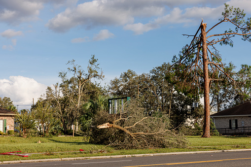 Hurricane aftermath in small community: broken trees, fallen branches and debris on the road in Perry, North Florida
