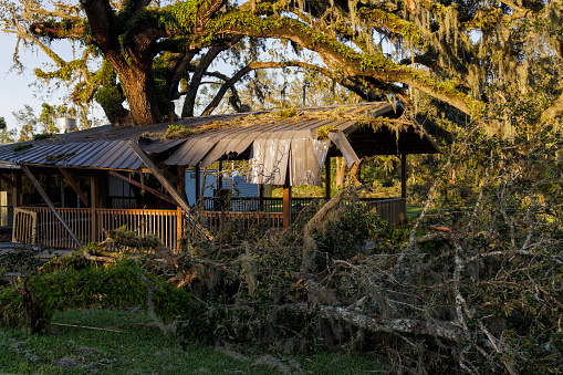 Housing havoc in Perry, FL: Fallen trees cause destruction. Demolished houses and structures after hurricane