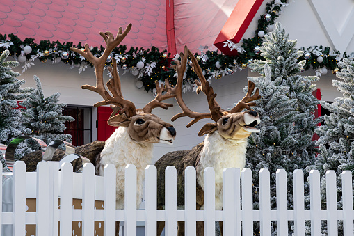 deer behind the fence. Decorating Santa Claus' house for Christmas