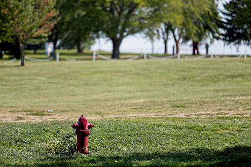 A red fire hydrant stands in an open field in a small community park ready to provide water in case of a fire.