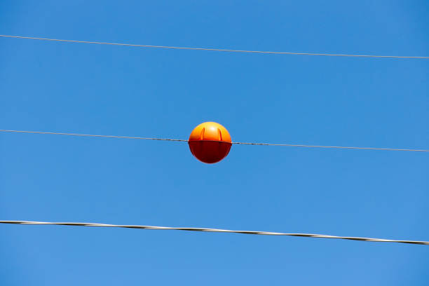 istock Orange utility line ball 20230912_A1R_7347 1710518937