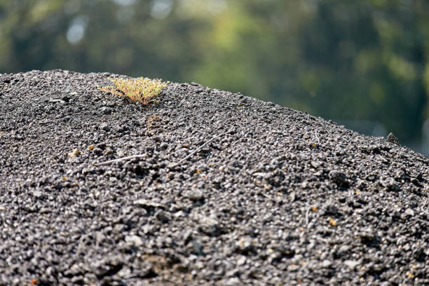 istock Recycled Asphault 20230919_ALX_8439 1710518954