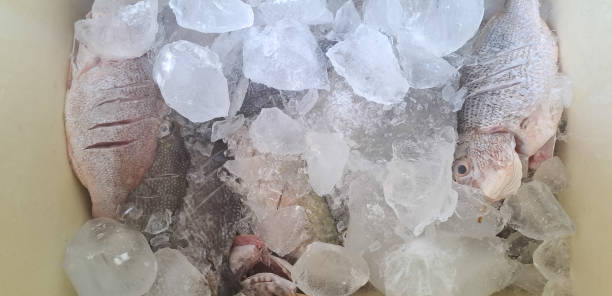 istock Fresh fish in box with ice at the fish market 1710519769