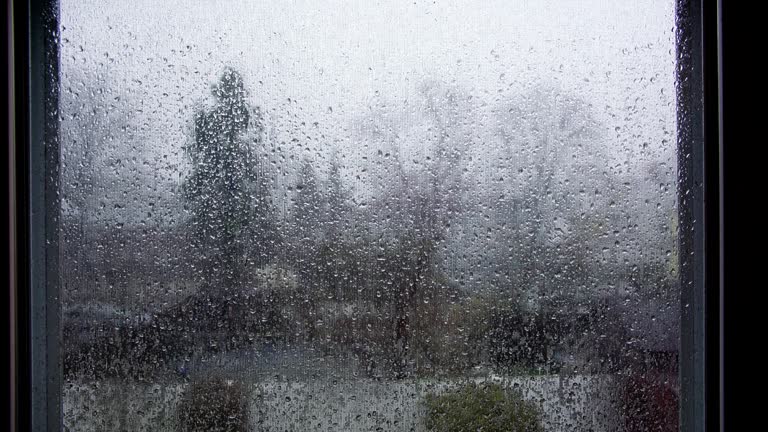 On a drizzly day, a window is covered with raindrops and tree silhouettes are visible.