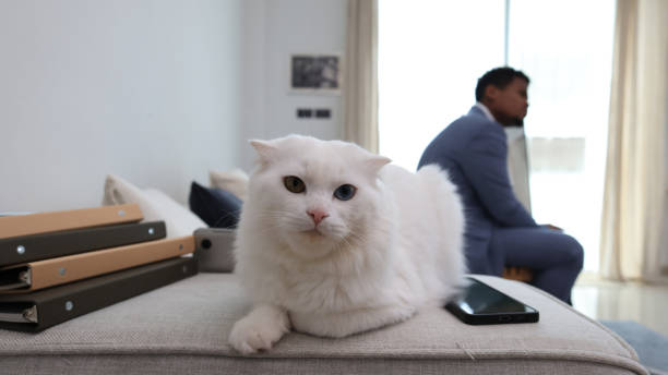 A fluffy, light orange Persian cat sits on a white sofa, looking to the left and showing off its profile, with its thick fur framing its face. Natural light streams through a window behind the cat, softly illuminating the scene and highlighting the texture of the fur. The background is blurred, featuring green trees and a calm atmosphere that contrasts with the warm tone of the cat's fur.