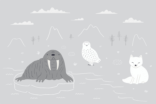 Cute Arctic animals, fox, snowy owl, walrus, northern landscape, isolated. Hand drawn vector illustration. Winter animal character, wildlife. Design concept kids fashion, textile print, poster card