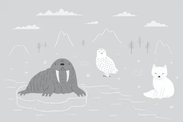 Vector illustration of Cute Arctic animals, fox, snowy owl, walrus
