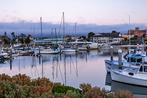 Eureka, California, USA - July 20th, 2023: Beautiful view of the Port in Woodley Island Marina in dusk