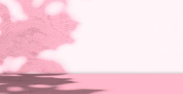 istock Pink Shadow Flower Studio Room Background Soft Pastel Gradient Paper Petal Spring Wall Floor Table Product Beauty Spa Cosmetic Platform Two Tone 3d Bg Mockup 1710778271