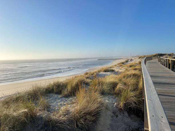 istock Idyllic boardwalk stretching out to a sunlit beach with lush grass in the foreground 1710778360