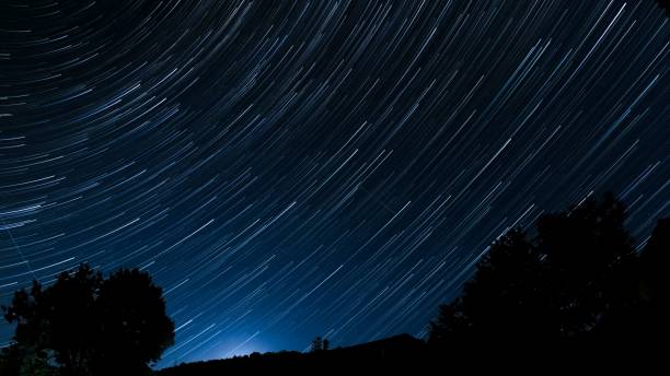 majestuoso árbol situado en primer plano de un cielo estrellado iluminado, en larga exposición - shadowed fotografías e imágenes de stock