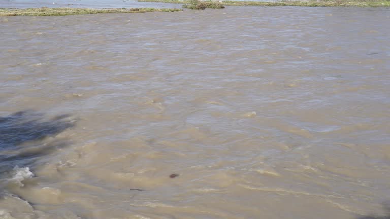 The river swollen after heavy rainfall and floodwater crashing through valley. The water flows fast from the high valley to the plain. General contest of a river in flood