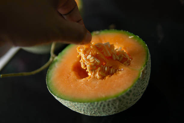 istock Close up hand holding melon fruit 1710802144