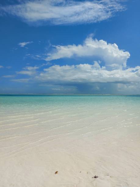 istock Beach with a crystal blue ocean, surrounded by the sandy shore 1710831821