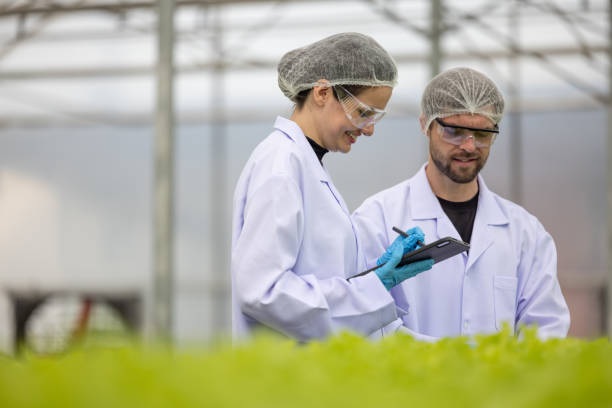istock Hydroponic scientists use microscope biotech, biochemistry to analyze greenhouse plant for precision 1710894533