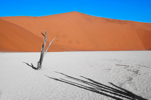 Sand dunes on Libyan Desert. The Sahara Desert is the world's largest hot desert.http://bem.2be.pl/IS/egypt_380.jpg