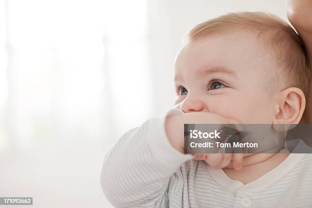 Baby Beißen Daumen Im Mund Stockfoto und mehr Bilder von 6-11 Monate - 6-11 Monate, Anfang, Baby