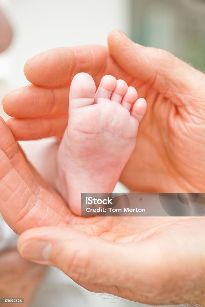 Grande plano de Bebê  s pés em avô  s mãos - Royalty-free Bebé Foto de stock