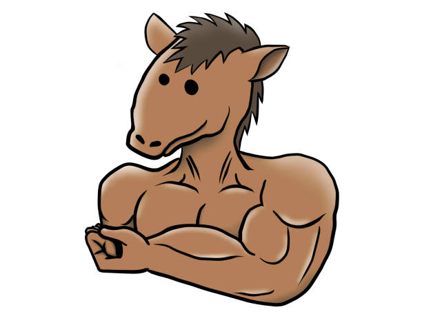 illustrazioni stock, clip art, cartoni animati e icone di tendenza di mascular del cavallo - wrestling human muscle muscular build strength