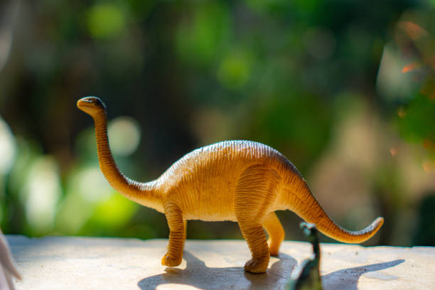istock Animal toys 1710996477
