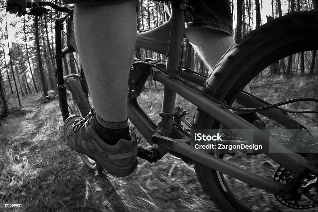 Ciclista di mountain bike - Foto stock royalty-free di Ambientazione esterna