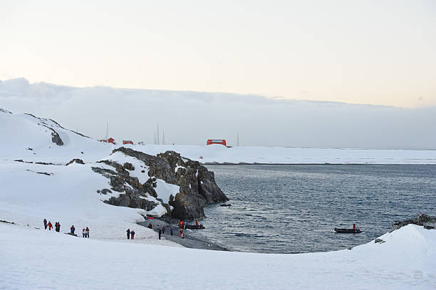 half moon island, der antarktis - nature antarctica half moon island penguin stock-fotos und bilder