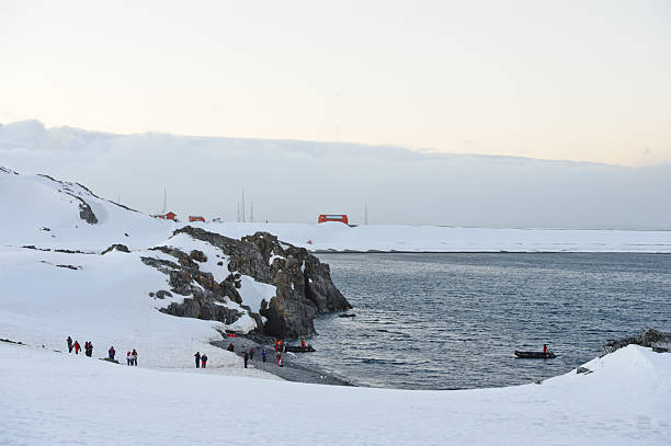 ilha de half moon, à antártida - nature antarctica half moon island penguin imagens e fotografias de stock