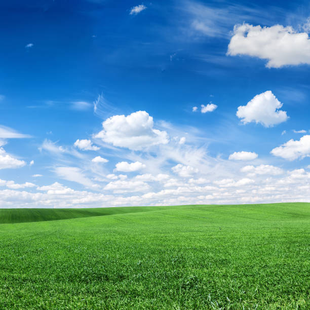 istock Square spring landscape XXXXL 38 MPix - meadow, blue sky 171100297