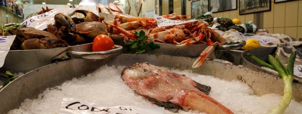 Horizontal banner or header with fish on the fish market stand on ice - Monkfish in the foreground and shellfish in the background - Soft focus on monkfish